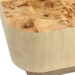 Luna Mesa Coffee Table