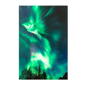 Northern Lights