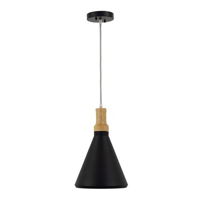 1 Light Pendant in Black Finish