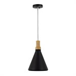 1 Light Pendant in Black Finish