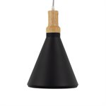 1 Light Pendant in Black Finish