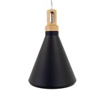 1 Light Pendant in Black Finish