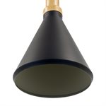 1 Light Pendant in Black Finish